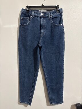 Levi’s Silver Tab 1853 Mom Jeans 29